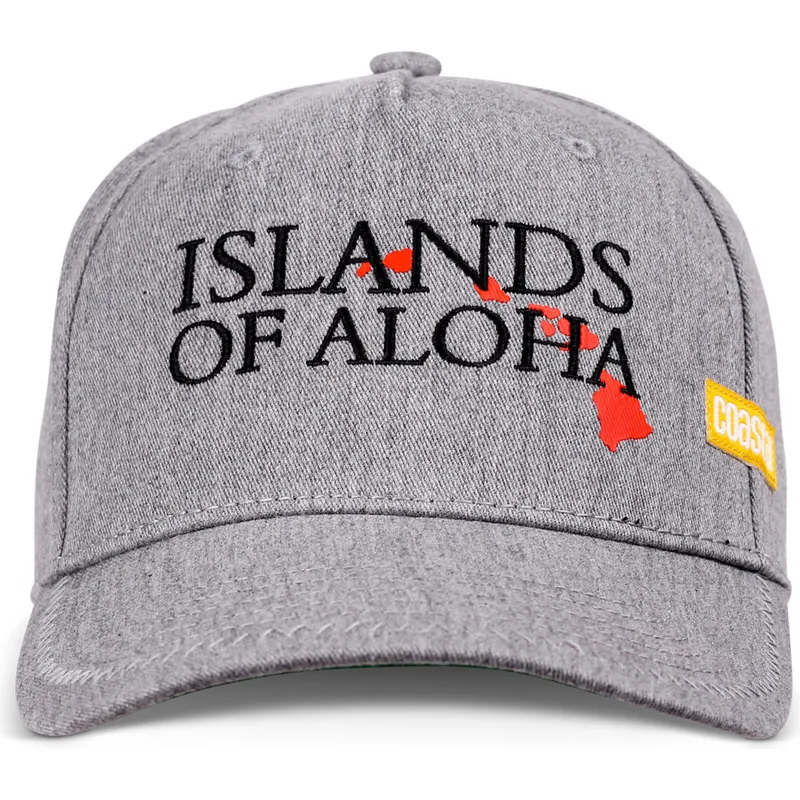 Gorra curva gris ajustable Islands Of Aloha de Coastal